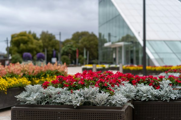 Les avantages des jardinières en fibre de verre